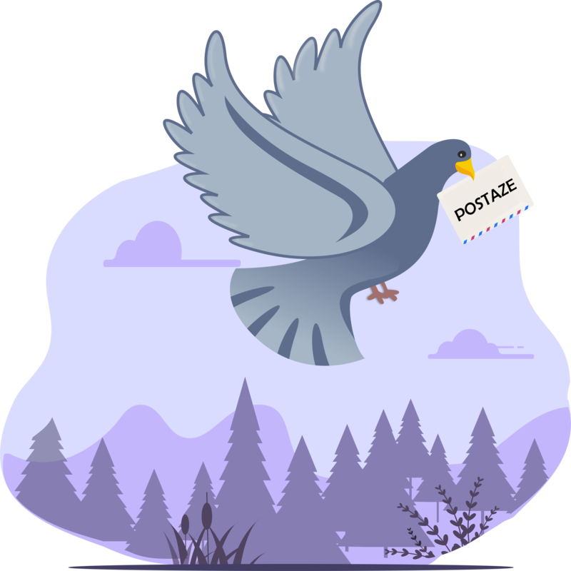 pigeon